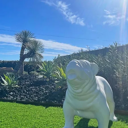 Apartment Terrasses De La *