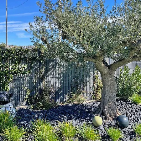 Apartment Terrasses De La *